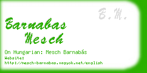 barnabas mesch business card